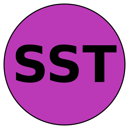 Superior Solutions Travel